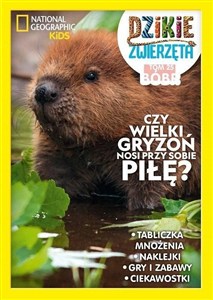 Obrazek Dzikie Zwierzęta. 25 Bóbr Bóbr