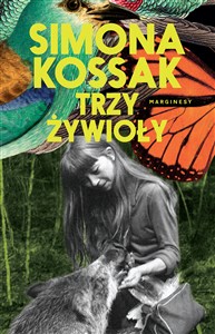 Obrazek Trzy żywioły