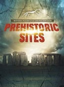 polish book : Prehistori... - John Malam