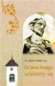 Do serca T... - Józef Gaweł -  books from Poland