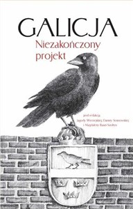 Picture of Galicja. Niezakończony projekt