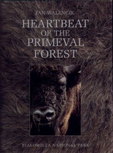 Picture of Heartbeat of the Primeval Forest Białowieża National Park