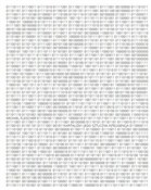 Polska książka : Kapitalizm... - Michael Fleischer