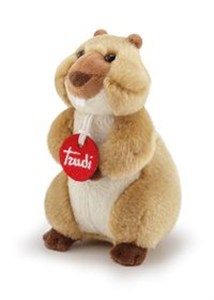 Obrazek Świstak klasyczny XS