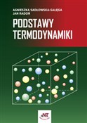 Podstawy t... - Agnieszka Sadłowska-Sałęga, Jan Radoń -  Polish Bookstore 