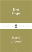 Storm of S... - Ernst Junger -  books from Poland