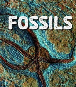 Obrazek Fossils (Fact Finders: Rocks)