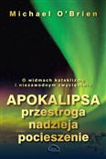 polish book : Apokalipsa... - Michael O'Brien