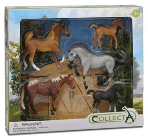 Picture of Zestaw 5 koni w opakowaniu