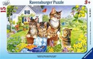 Obrazek Puzzle ramkowe 15 Kocięta