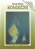Polska książka : Kolekcja - Jacek Dehnel
