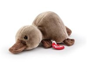 Picture of Dziobak Trudino