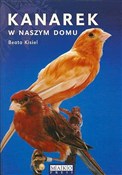 Książka : Kanarek w ... - Beata Kisiel