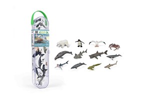 Obrazek Box Zwierzęta morskie