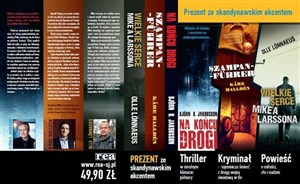 Obrazek Prezent ze skandynawskim akcentem PAKIET