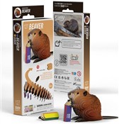 Zobacz : Bóbr Eugy....