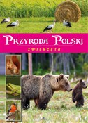 Zobacz : Przyroda P... - Żaneta Zając