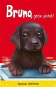 polish book : Bruno gdzi... - Agnieszka Stelmaszczyk