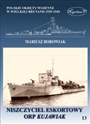 Niszczycie... - Mariusz Borowiak -  foreign books in polish 