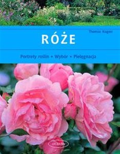 Picture of Róże