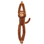 Zobacz : Małpka wis...