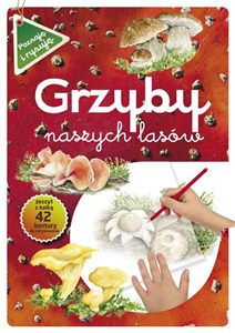 Obrazek Grzyby naszych lasów