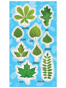 Picture of Naklejki Wiosenne liście