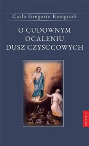Picture of O cudownym ocaleniu dusz czyśćcowych