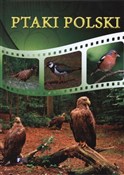polish book : Ptaki Pols... - Opracowanie Zbiorowe