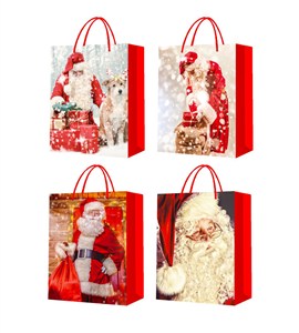 Obrazek Torebki prezentowe BN 12 sztuk mix wzorów JYWK 3837 L