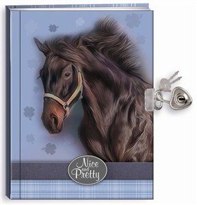 Obrazek Pamiętnik z kłódką