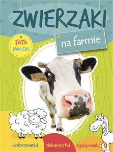 Obrazek Zwierzaki na wsi. Fotonaklejki