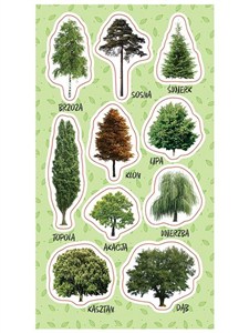 Obrazek Naklejki Drzewa
