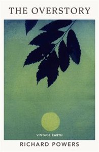 Obrazek The Overstory
