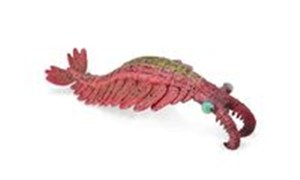 Obrazek Anomalocaris