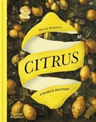 Citrus A W... - David J. Mabberley - Ksiegarnia w UK