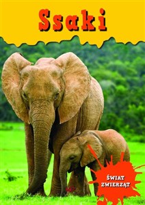 Obrazek Świat zwierząt Ssaki