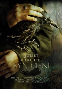 Picture of Syn cieni. Siedmiorzecze. Tom 2