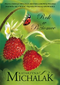 Obrazek Rok w poziomce