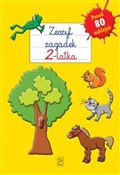 polish book : Zeszyt zag... - Julia Śniarowska