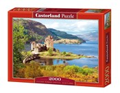 Puzzle Eil... -  books from Poland