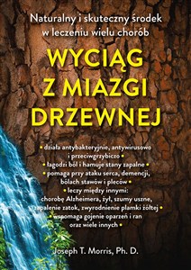 Obrazek Wyciąg z miazgi drzewnej