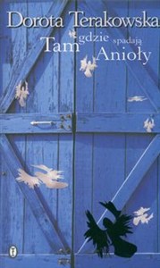 Picture of Tam gdzie spadają Anioły