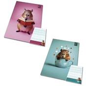 Książka : Notes A6/5...