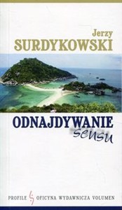 Picture of Odnajdywanie sensu