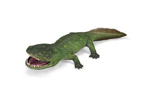 Obrazek Koolasuchus cleelandi