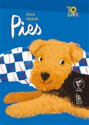 Pies - Anna Wasiak -  Książka z wysyłką do UK