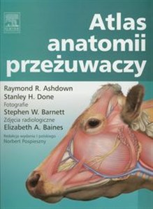 Obrazek Atlas anatomii przeżuwaczy
