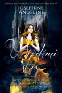 Picture of Wiedźmi stos