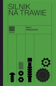 Obrazek Silnik na trawie